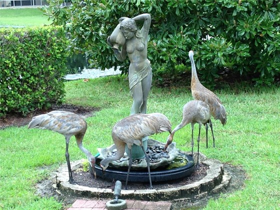 Mother Nature at its best.  Our Occasional Visitors.... Yes they are real. - Single Family Home for sale at 6521 Sundew Ct, Lakewood Ranch, FL 34202 - MLS Number is A4514104